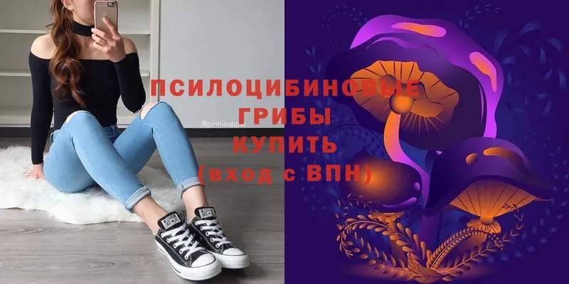 shop Telegram  Бийск  Галлюциногенные грибы Psilocybe 